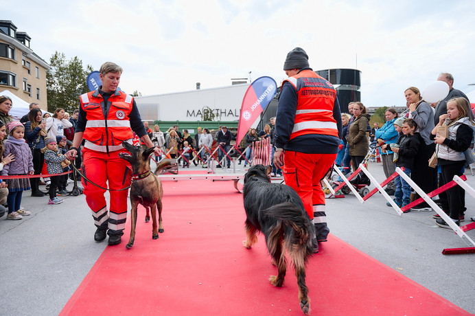 Johanniter: Ausbildung
