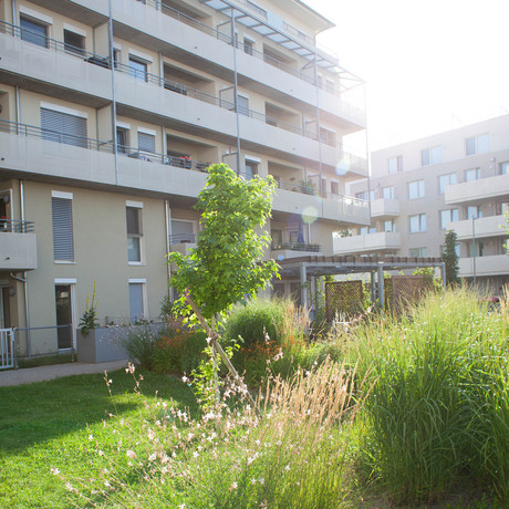 Johanniter: Infrastruktur & Lage