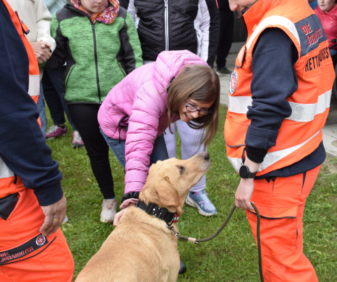 Rettungshunde Elisabethinum