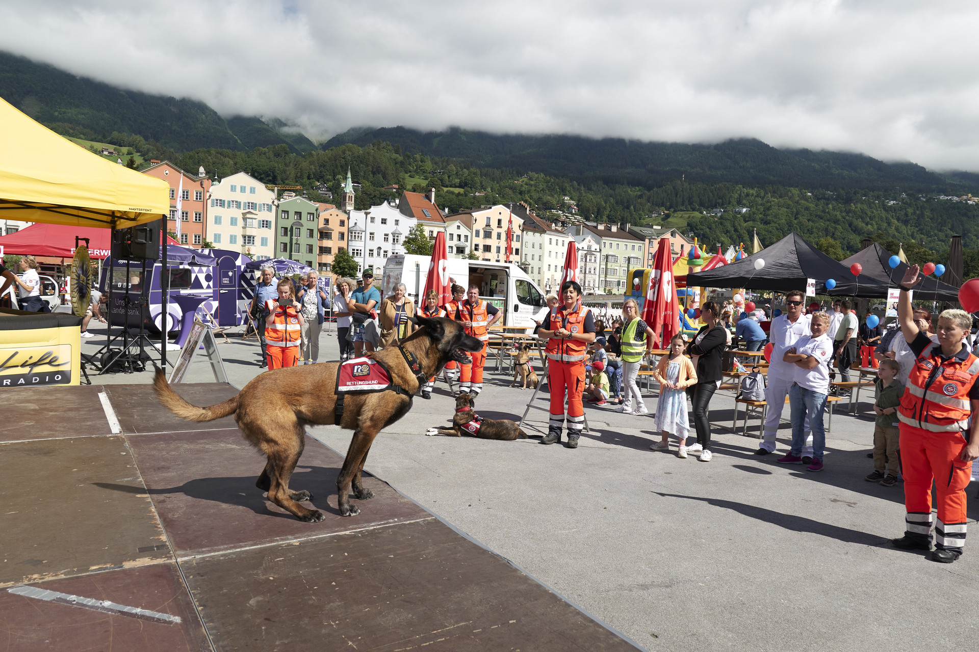 Ein Rettungshund steht auf der Bühne und nimmt Kommandos von der Johanniterin entgegen, die gegenüber der Bühne steht und die Hand hebt.