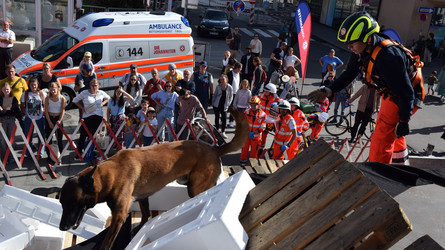 Ein Rettungshund und ein Johanniter stehen auf einem Trümmerhaufen.