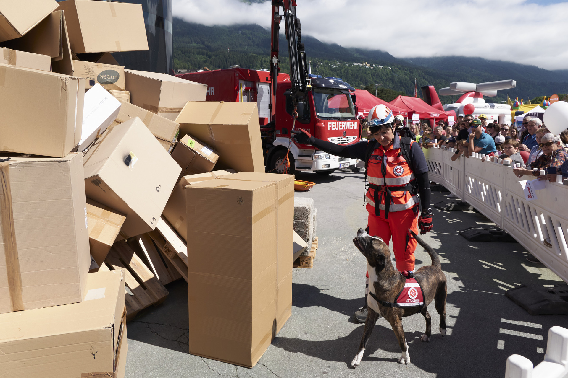 Ein Rettungshund soll in einem Berg aus Kartons eine vermisste Person suchen. Die Hundeführerin gibt das Kommando und zeigt auf den Berg.