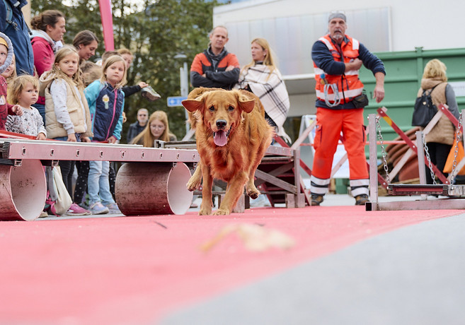 Johanniter: Ausbildung