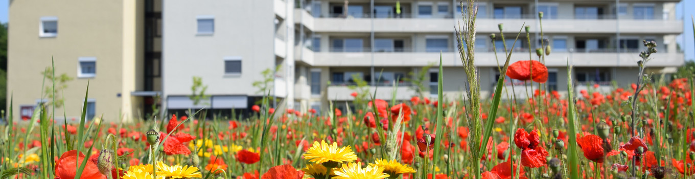Vielschichtig wie das Leben