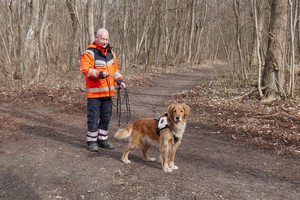Dieter Horn, Leiter der Johanniter-Rettungshundestaffel, beim Mantrailing