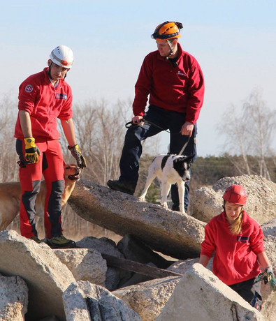 Johanniter: Rettunghunde­staffel