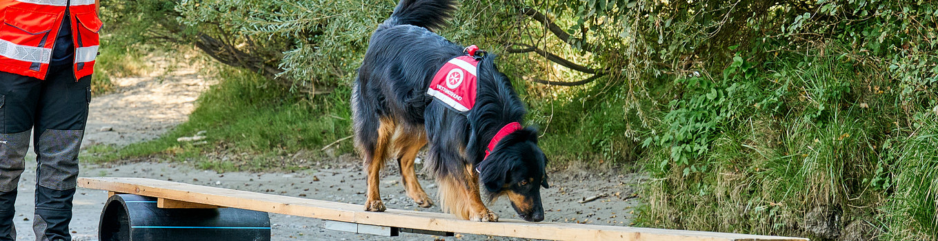 Gemeinsam mehr bewegen!