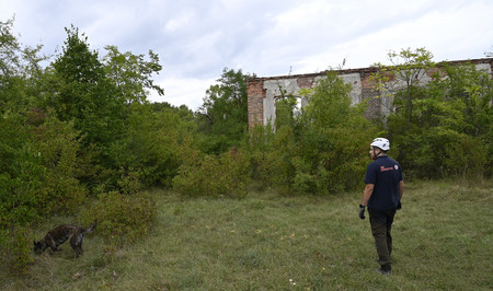 Rettungshund mit Hundeführer
