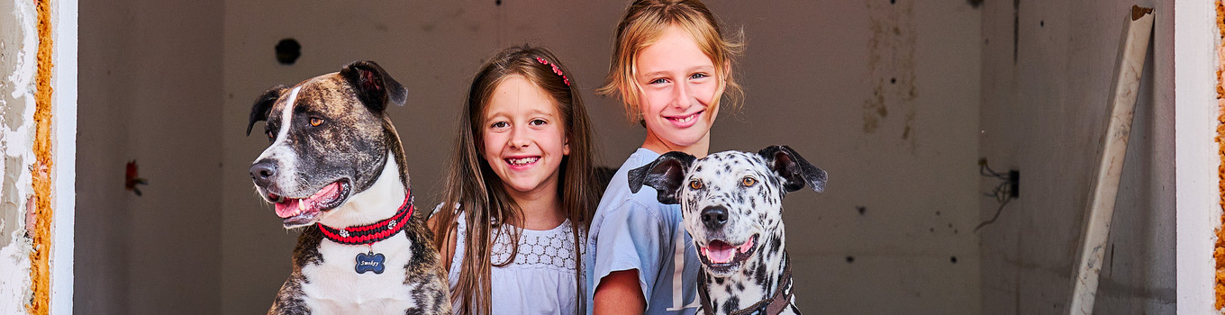 Helfer auf vier Pfoten