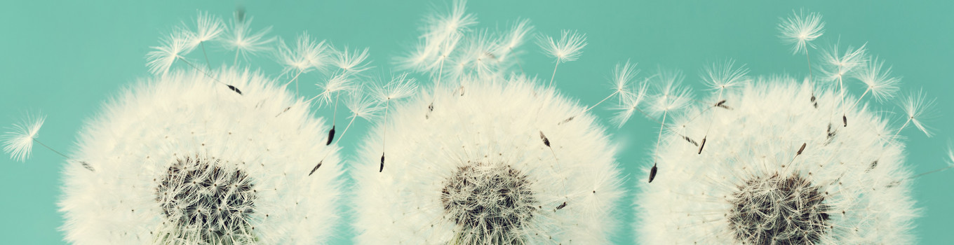 Abschied als Neuanfang