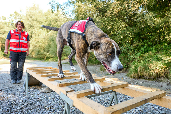 Johanniter: Ausbildung