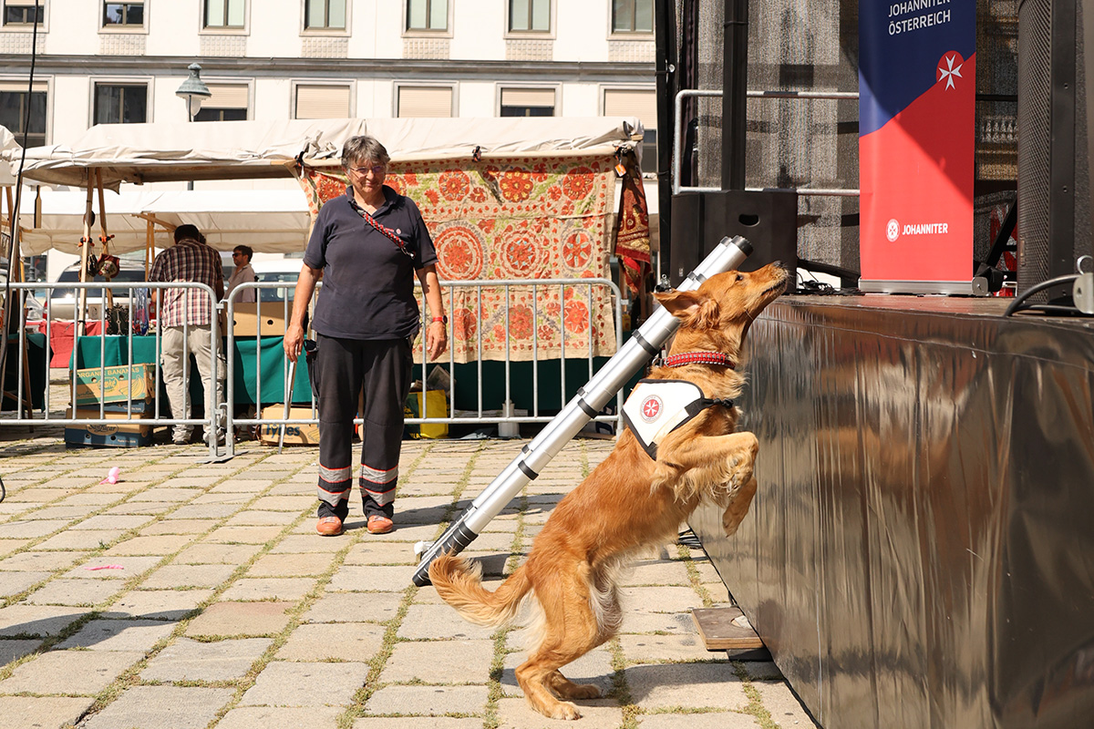 Rettungshund springt auf die Bühne