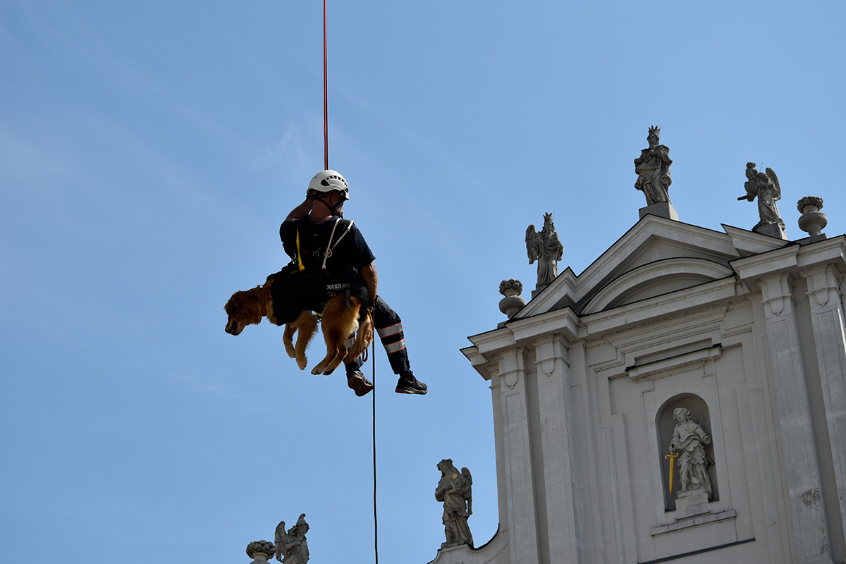 Sanitäter und Rettungshund werden von einem Kran abgeseilt 
